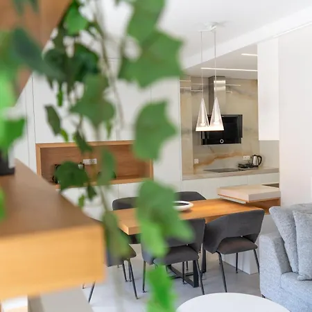 Sunny & Luxurious Penthouse With Terrace Athens